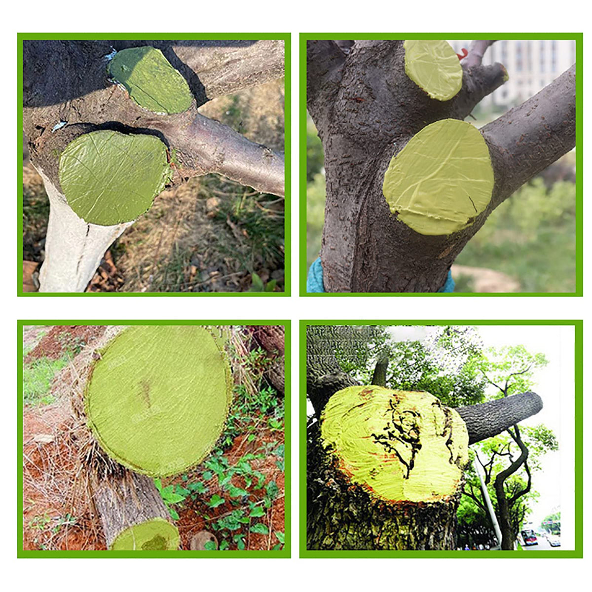 XIRUJNFD cut paste coverage seals pruning sites for quicker recovery and less sap loss.