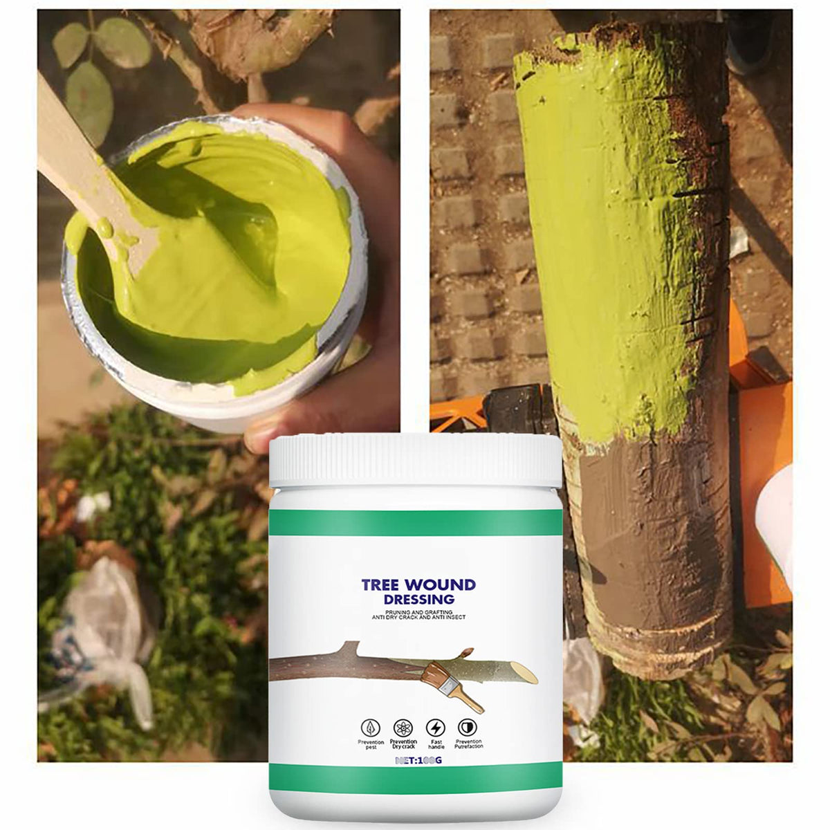 XIRUJNFD pruning sealer brush applying paste to a fresh cut