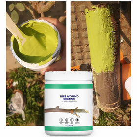 XIRUJNFD brush application shows easy sealant use for grafts and pruned limbs.