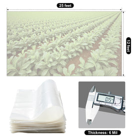 XLKIB 6-mil clear film provides sturdy, transparent greenhouse coverage.