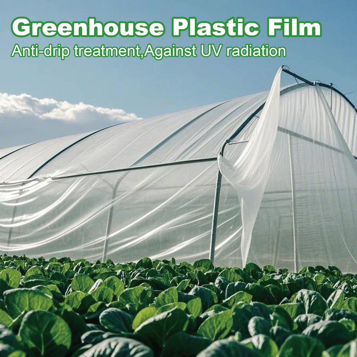 XLKIB UV-resistant coating guards plants from sun exposure.