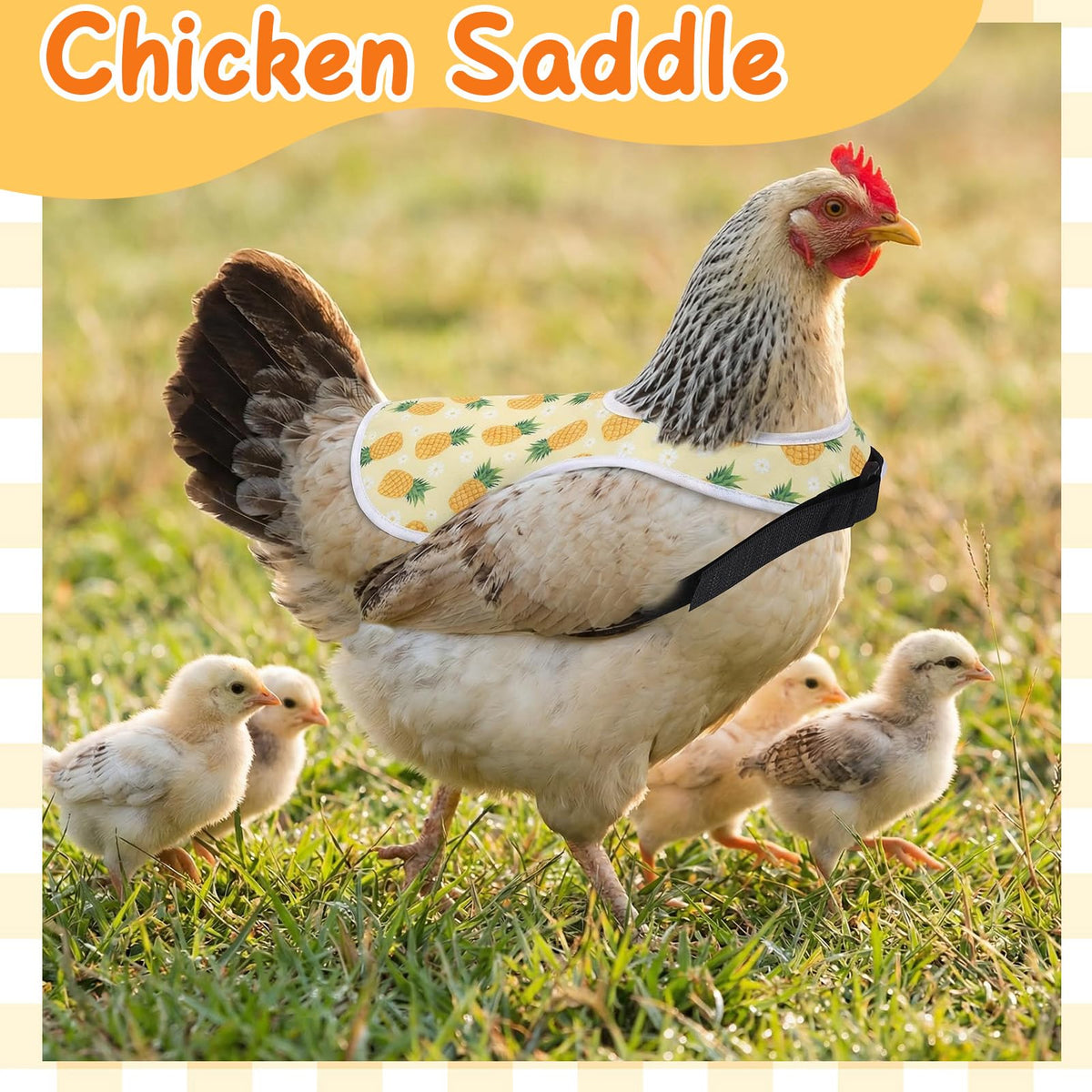 XLSXEXCL six-pack package for multiple hens in a small flock