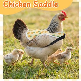 XLSXEXCL six-pack package for multiple hens in a small flock