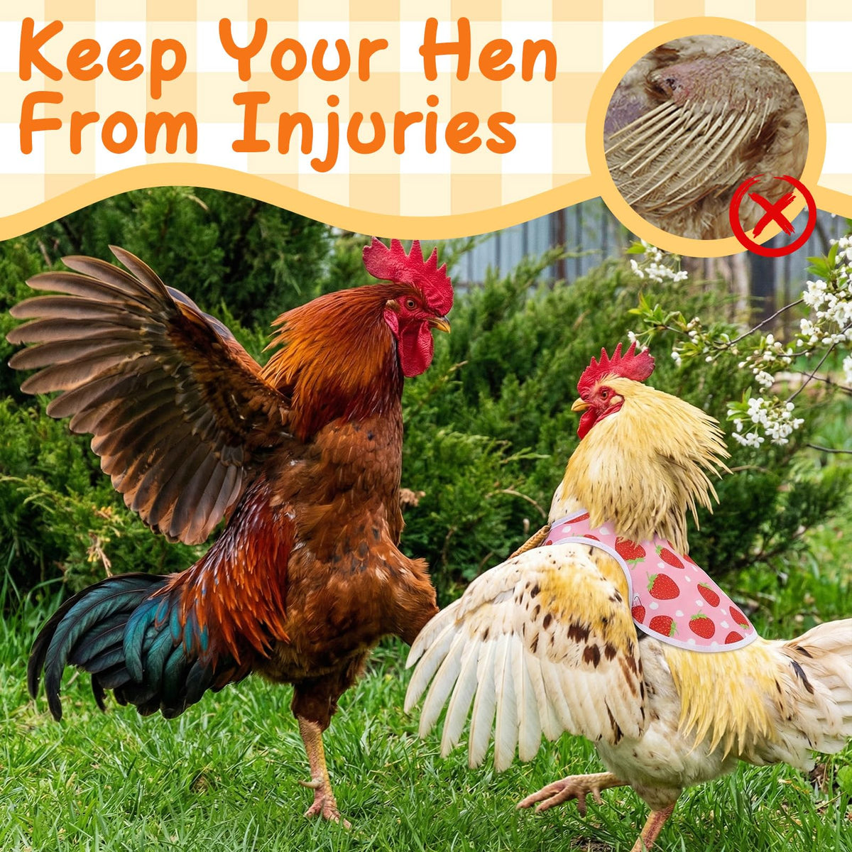 XLSXEXCL saddle protecting injured area to support feather regrowth