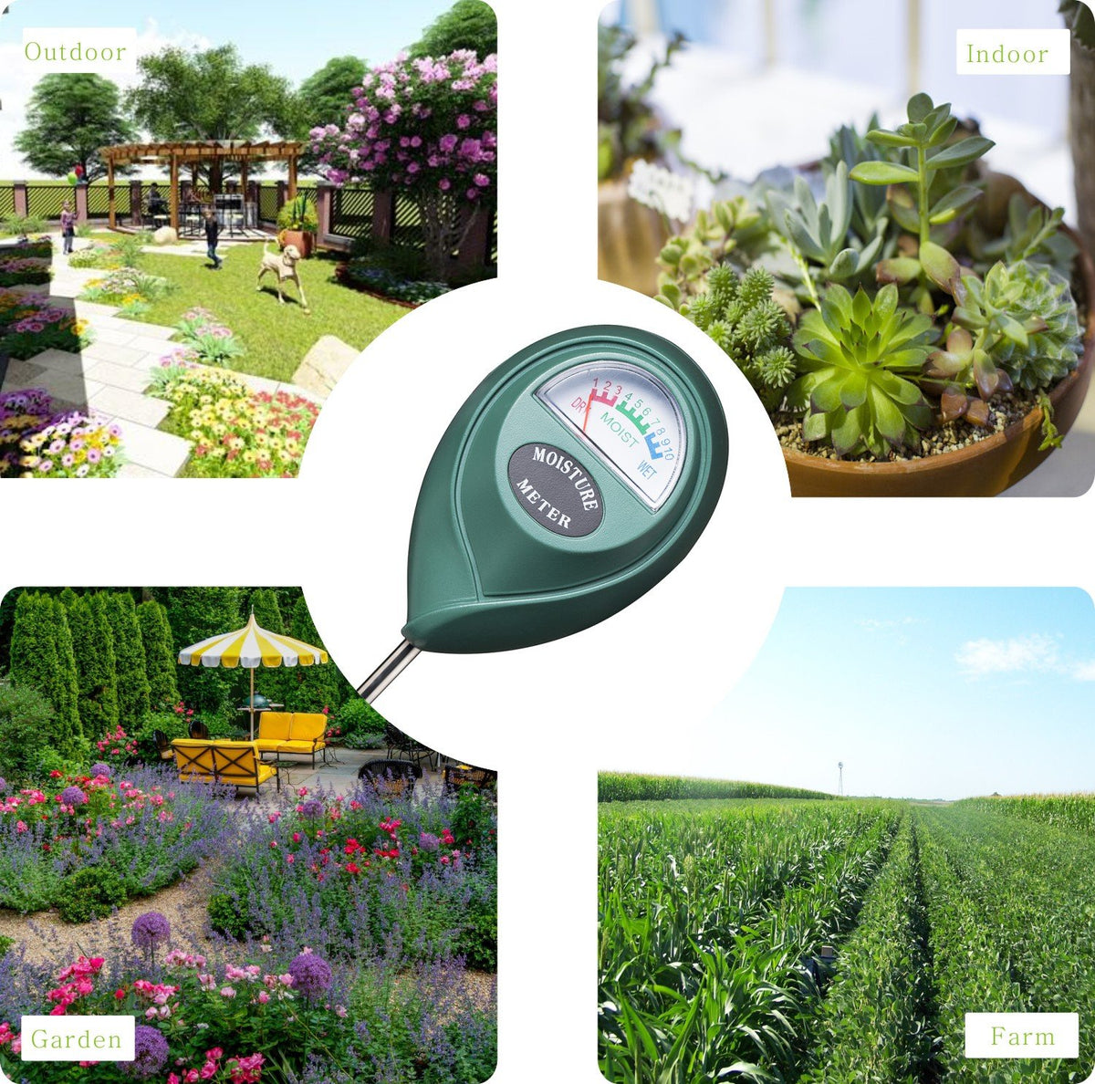 XLUX probe inserted into a pot to check soil moisture level.