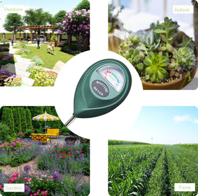 XLUX probe inserted into a pot to check soil moisture level.