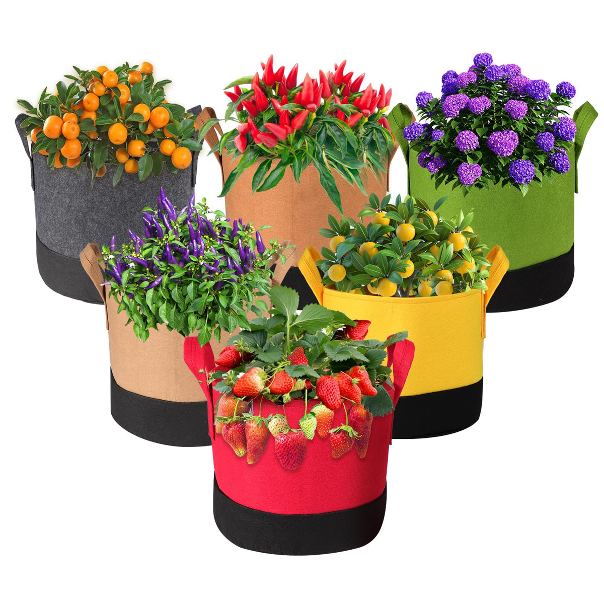 Xmpmrb Grow Bag 5-gallon red for compact balcony gardening and easy handling.