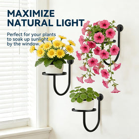 XNGZY living room and office decor solution with versatile display.