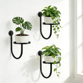XNGZY wall planters 3-pack set mounted for space-saving indoor greenery.
