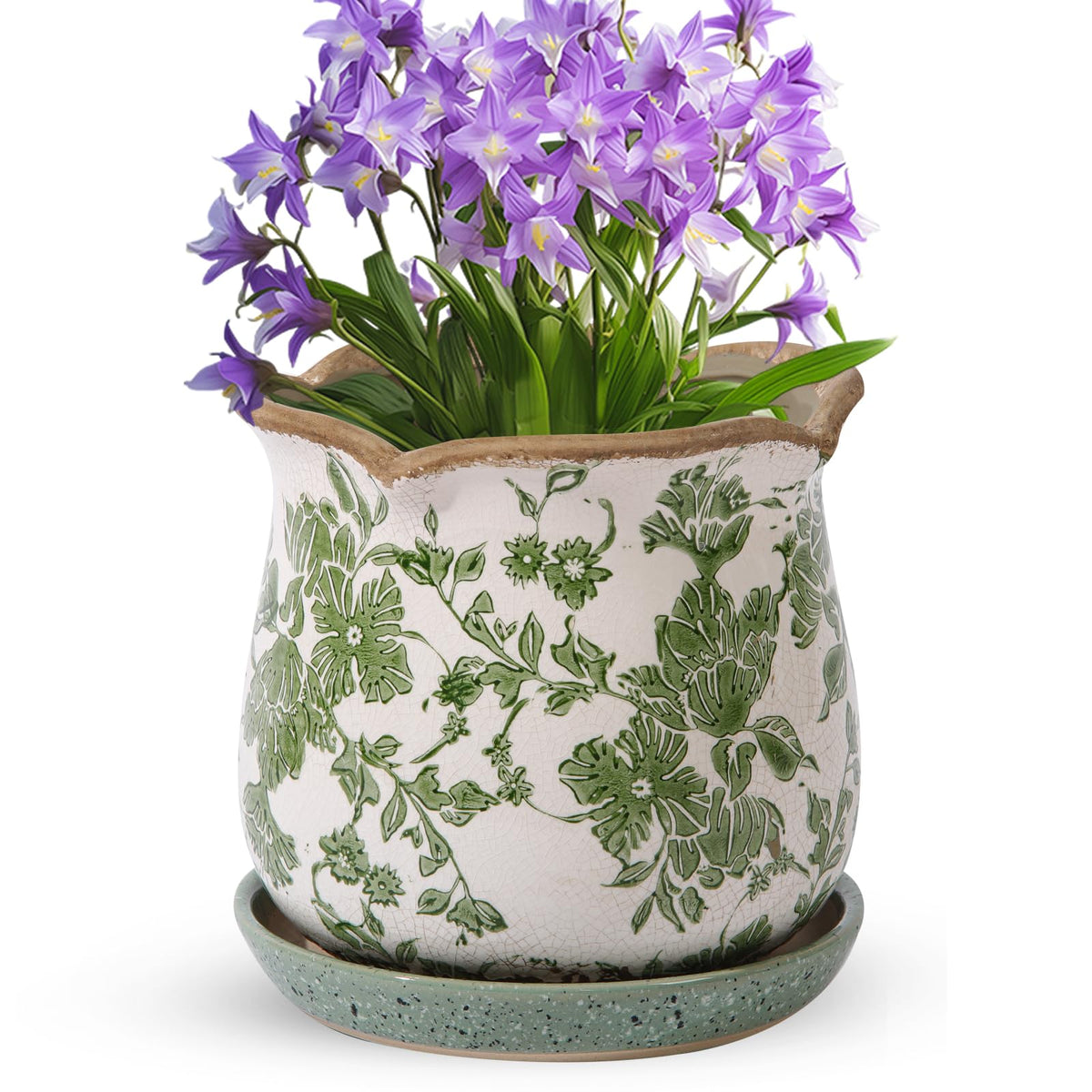 Xoogifae ceramic planter with ice crack glaze highlights rustic charm for a stylish living space.