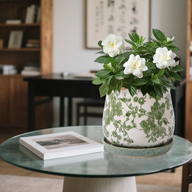 Xoogifae home décor ceramic pot brings life to windowsills and balconies.