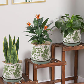 Xoogifae indoor planter shows drainage hole and saucer to simplify watering and cleanup.