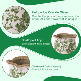 Xoogifae ornamental garden pot for indoor or outdoor spaces adds color.
