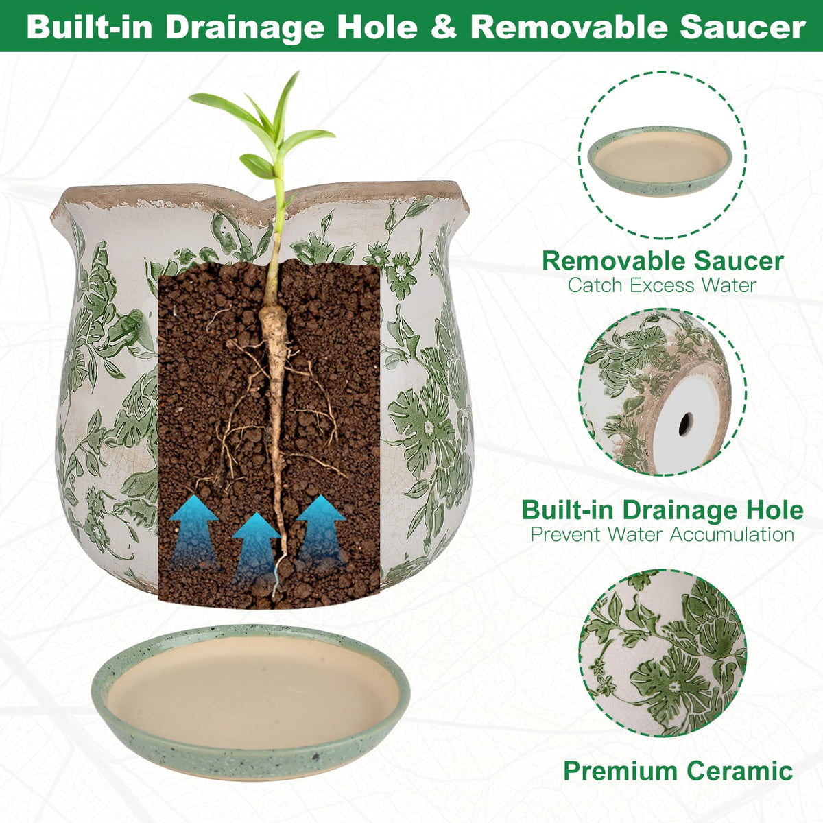 Xoogifae succulent plant pot in 6-inch size fits tabletops and shelves.