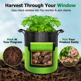 Xpatee 15-gallon grow bag color-block design and durability