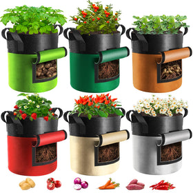 Xpatee 6-pack potato grow bags with flap for easy monitoring and harvest.