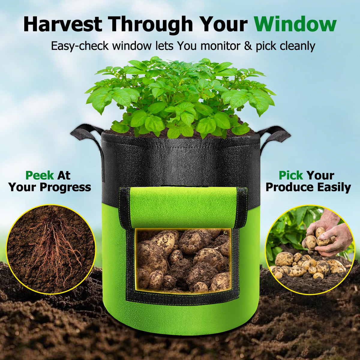 Xpatee grow bags with three handles for easy relocation around sunlit spaces.