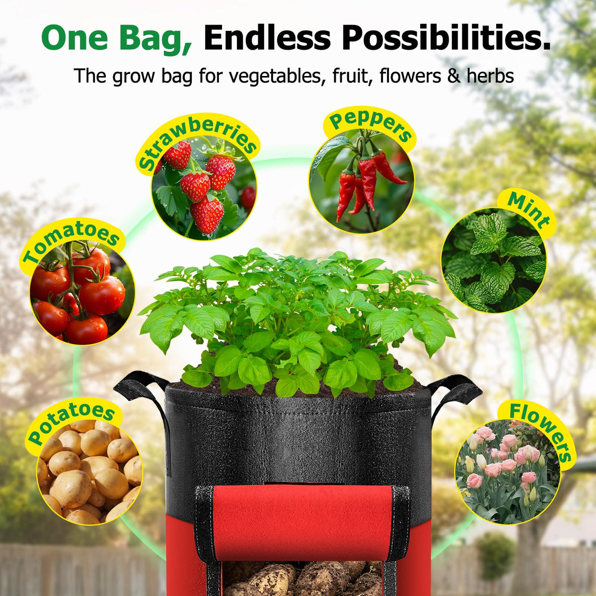 Xpatee 20-gallon grow bags promote aeration and drainage for healthy roots.