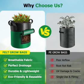 Xpatee 10-gallon grow bag provides ample space for crops