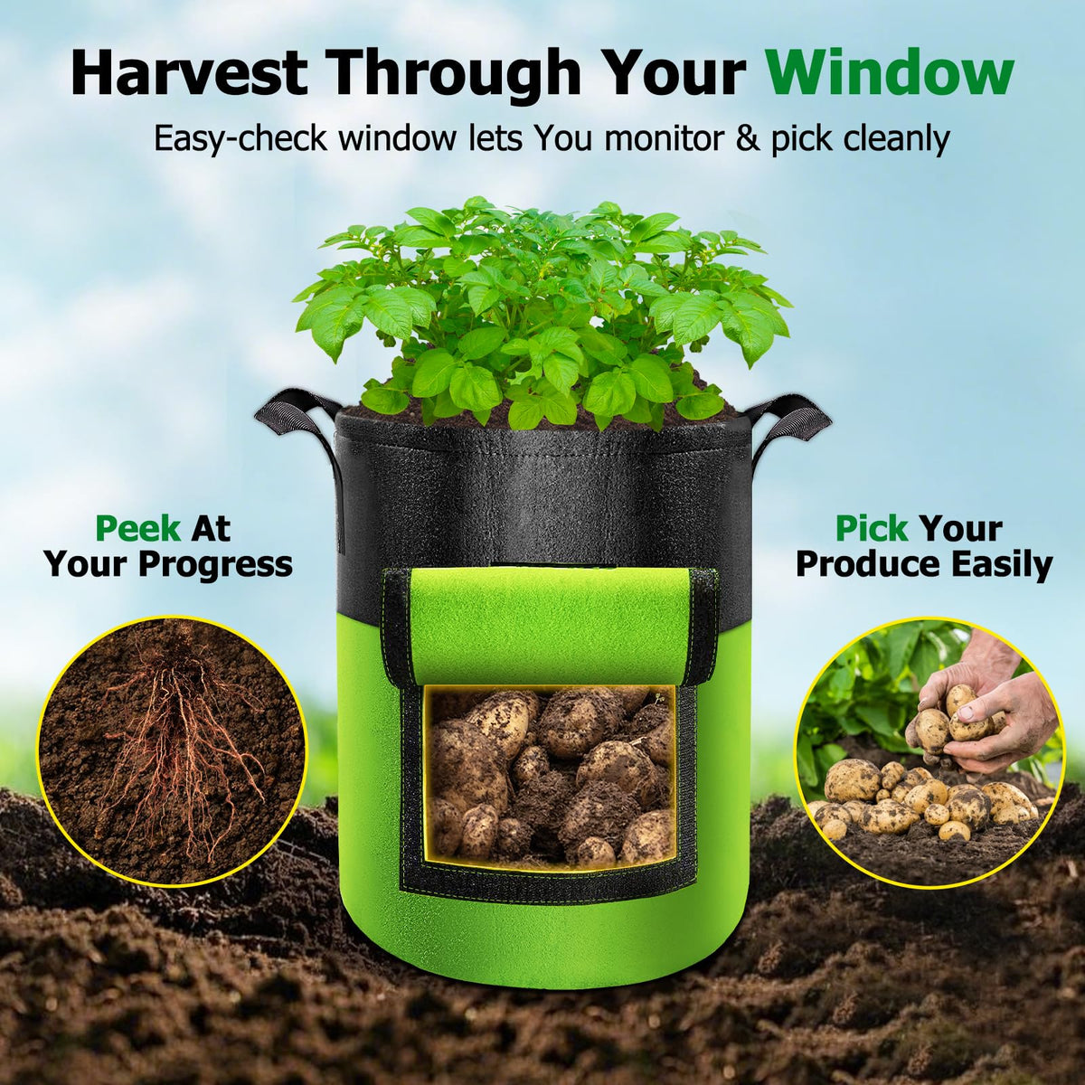 Xpatee grow bag with three reinforced handles for stable transport