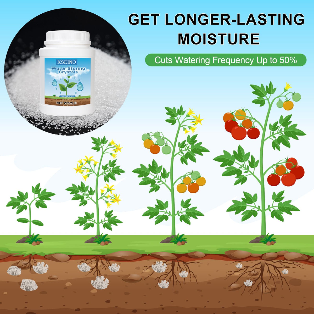 XSEINO crystals stabilizing root environment to support healthier root growth.