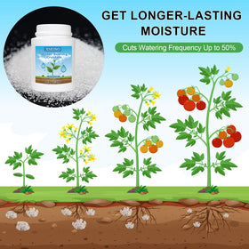 XSEINO crystals stabilizing root environment to support healthier root growth.