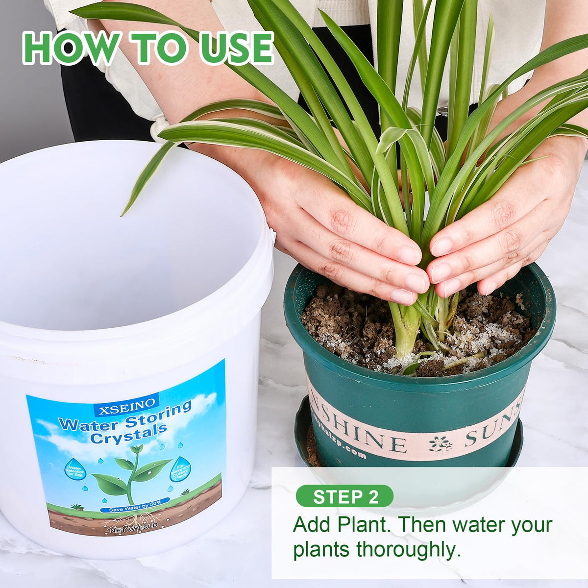 XSEINO water crystals aiding root growth in a young plant