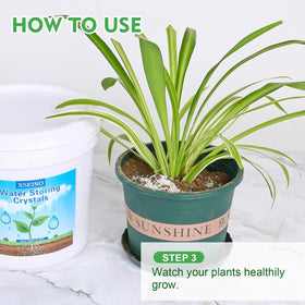 XSEINO water crystals illustration of reduced watering needs