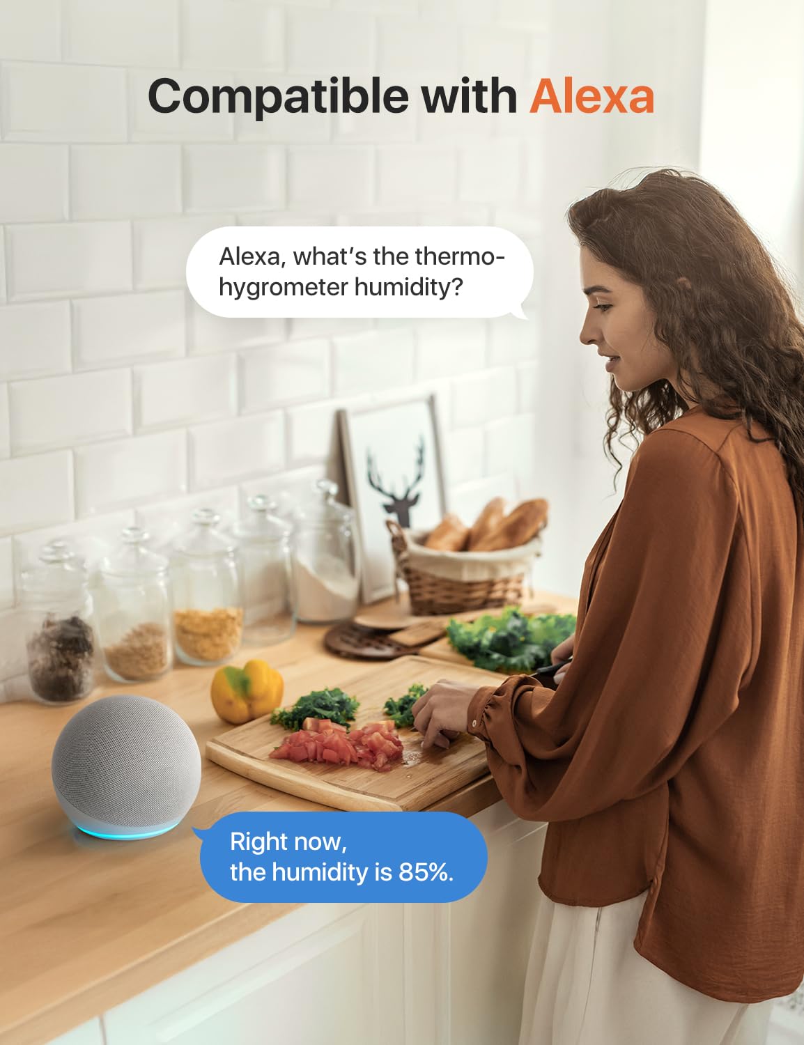 X-Sense trends graph displays temperature and humidity over time