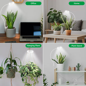 Xuligron home garden setup for year-round indoor growth.