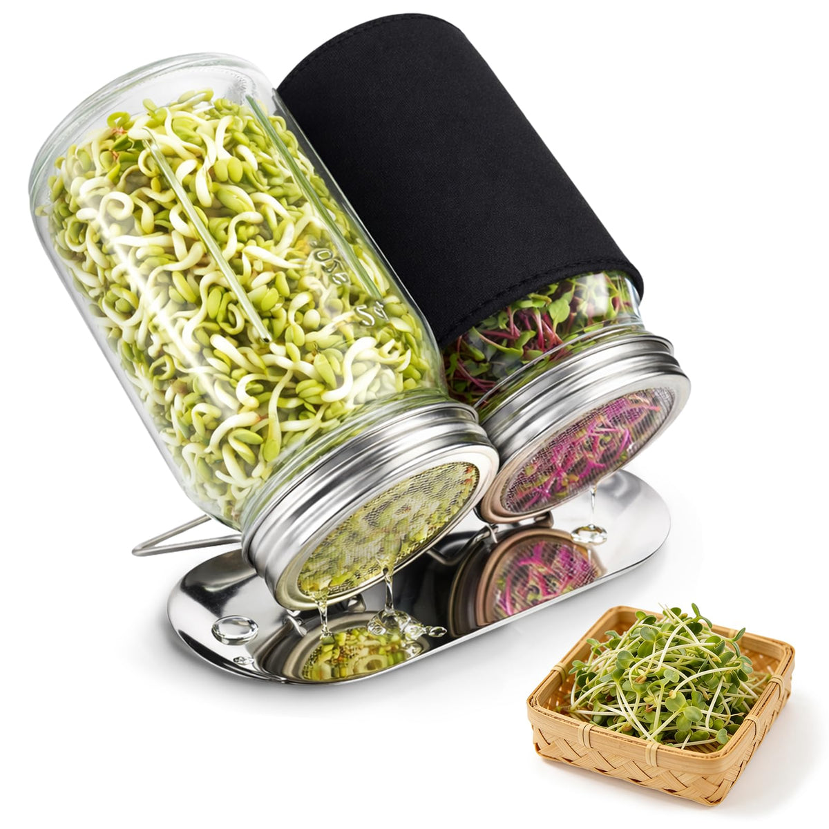 XUNWKONGG Sprouting Kit with glass jars and lids for clean, consistent sprouts.