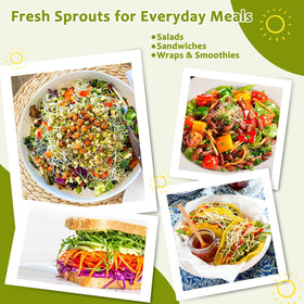XUNWKONGG complete sprouting kit for varieties like alfalfa mung beans and lentils.