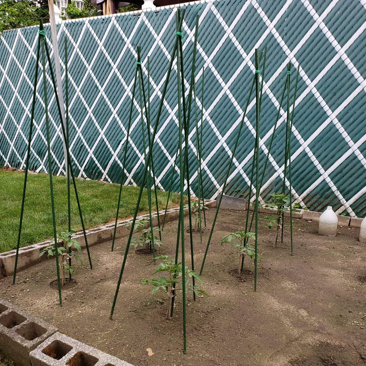Xuwzenkl 25-pack garden stakes ideal for medium to large plants