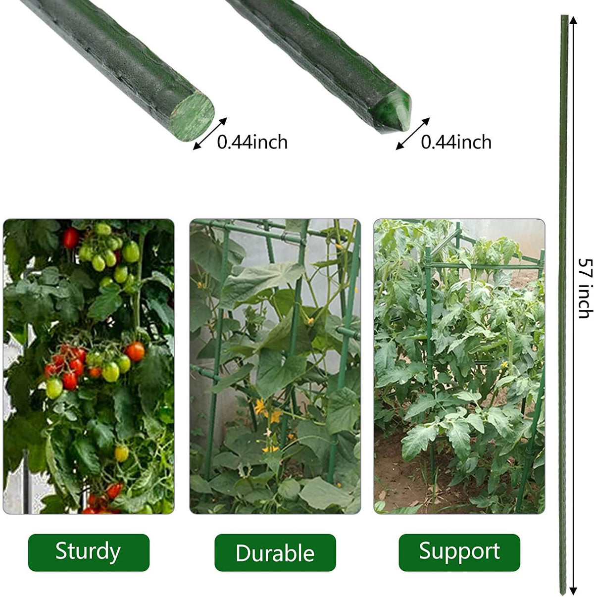 Xuwzenkl flat-head stake reinforces climbing plants for stability