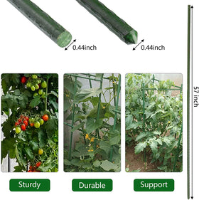 Xuwzenkl flat-head stake reinforces climbing plants for stability