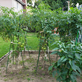 Xuwzenkl non-slip surface stake helps keep plants in place