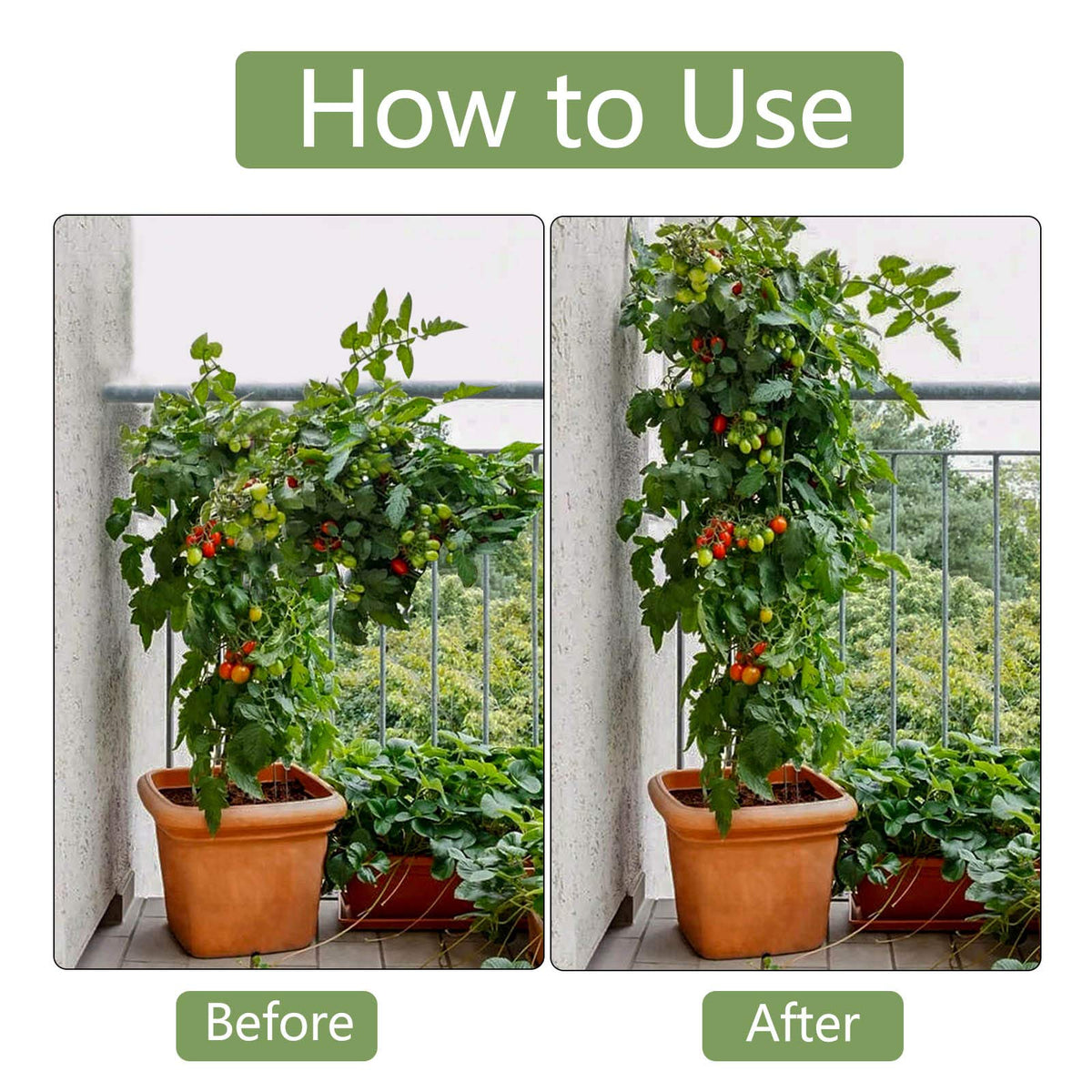 Xuwzenkl non-slip surface keeps vines aligned even in windy days