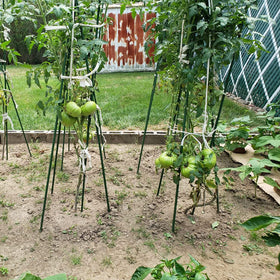 Xuwzenkl tomato-bean-cucumber stake supports vines in pots and beds