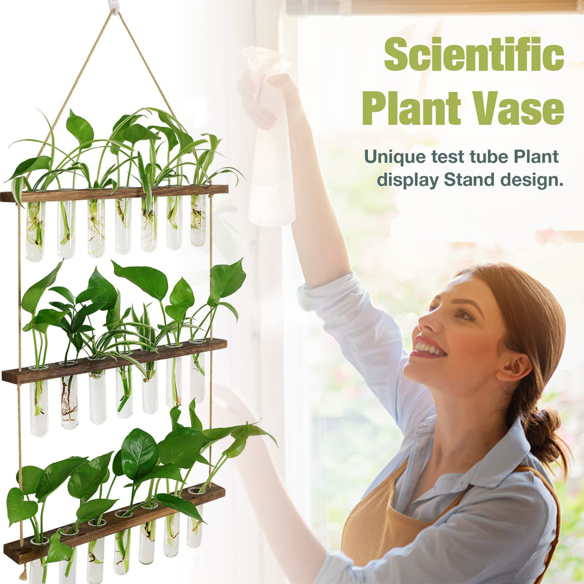 XXXFLOWER clear glass test tubes provide see-through rooting views