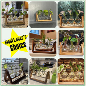 XXXFLOWER desk garden idea brightening a home office