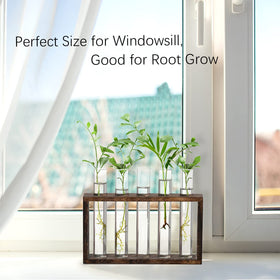 XXXFLOWER desk terrarium stand combines natural wood with glass tubes for elegant display
