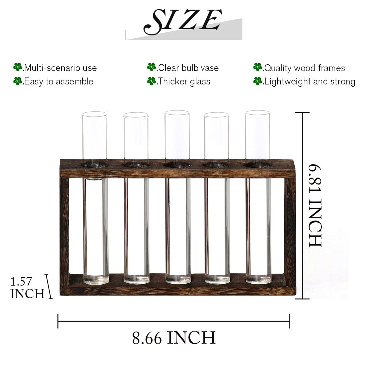 XXXFLOWER five-tube glass vases showcase cuttings clearly for healthy indoor propagation