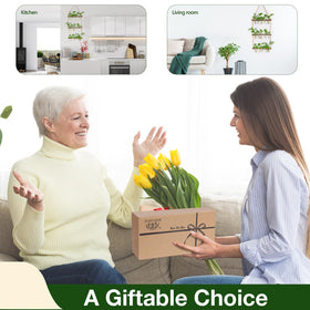 Gift idea XXXFLOWER for plant lovers with stylish wall display