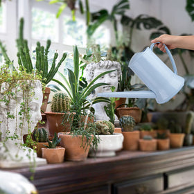 XXXFLOWER compact size and long spout suit hard-to-reach plant spots