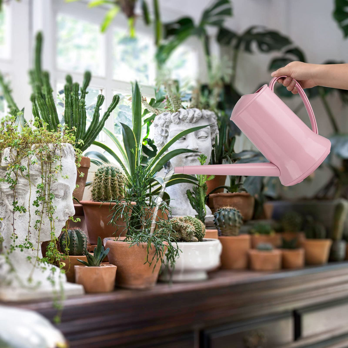 XXXFLOWER gift-ready watering can for plant lovers and hobby gardeners