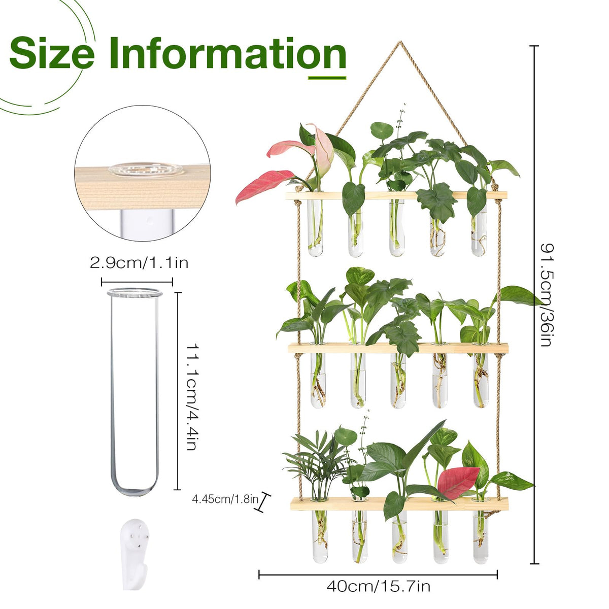 XXXFLOWER glass test tubes provide clear visibility to monitor rooting progress.