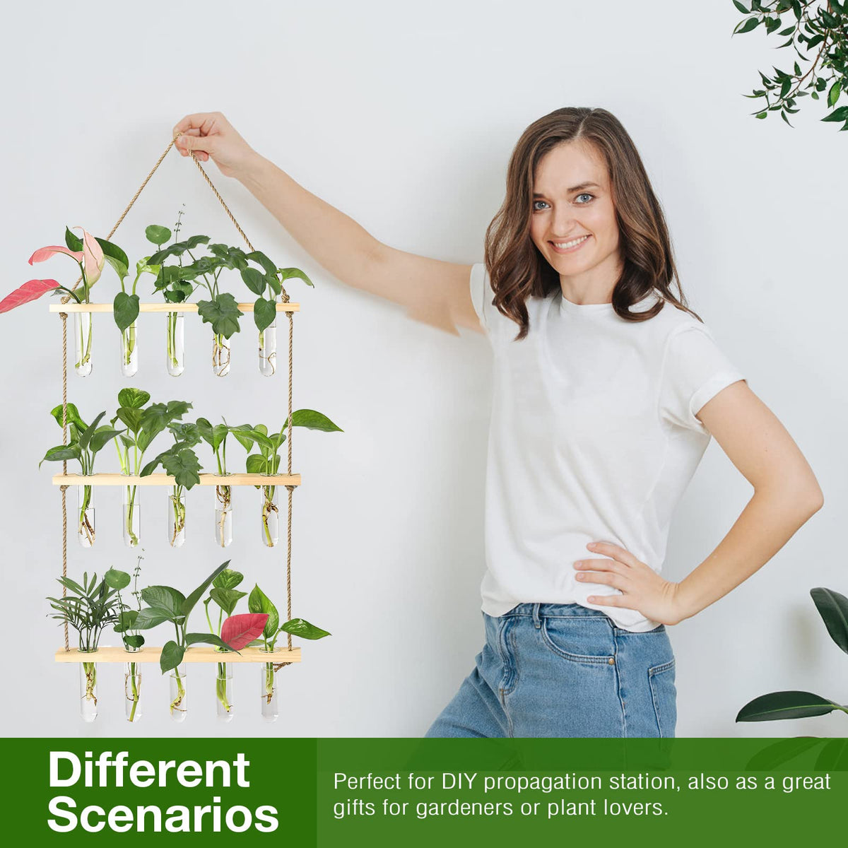XXXFLOWER hydroponic display for cuttings creates an eye-catching focal point.