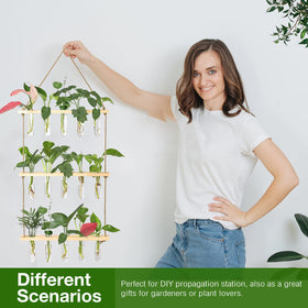 XXXFLOWER hydroponic display for cuttings creates an eye-catching focal point.