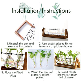 XXXFLOWER hydroponics-friendly multi-vase frame for fresh plant displays.