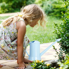 XXXFLOWER ideal gift for plant lovers watering small houseplants and herbs
